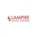 LAMPIRE Logo