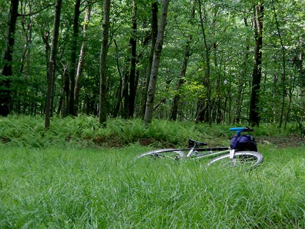 Gravel Trail